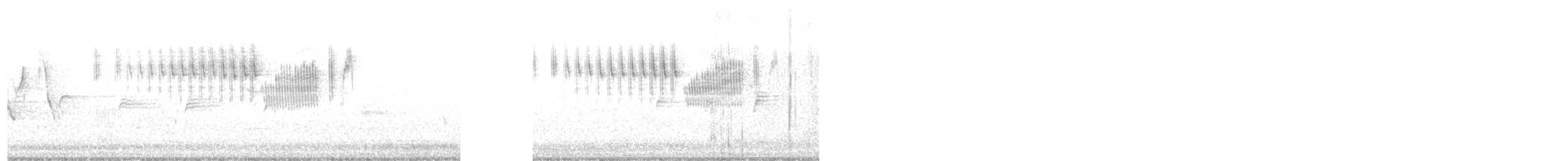 new world warbler sp. - ML636921170