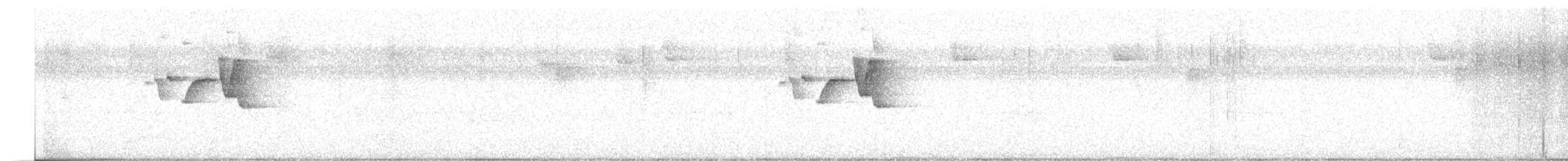 Isthmian Wren - ML636923880