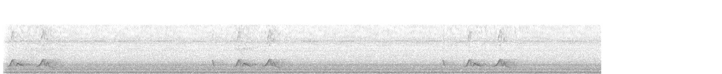 Chuck-will's-widow - ML636929461