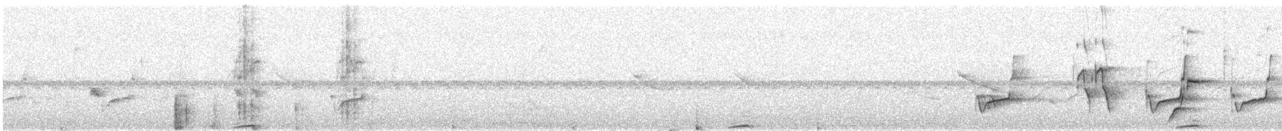 Whooping Motmot (argenticinctus) - ML636933543