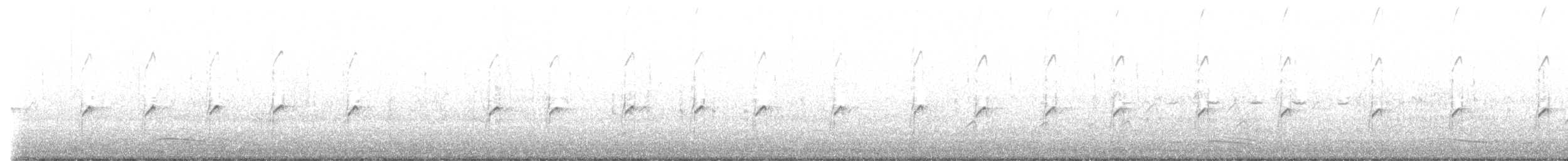Long-billed Plover - ML636935583