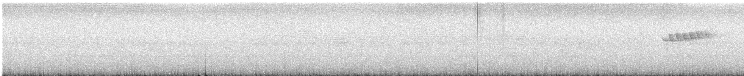 White-bellied Erpornis - ML636935889
