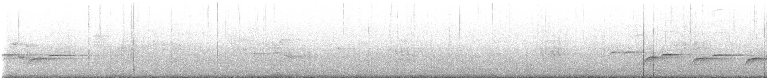 Black-winged Cuckooshrike - ML636936749