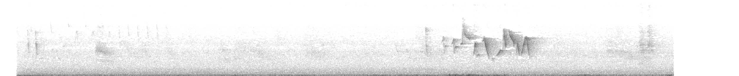 Canada Warbler - ML636937112