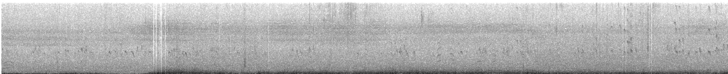 Pluvier du Tibet - ML636937709