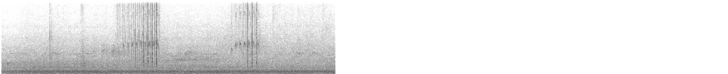 Zebra Dove - ML636937735