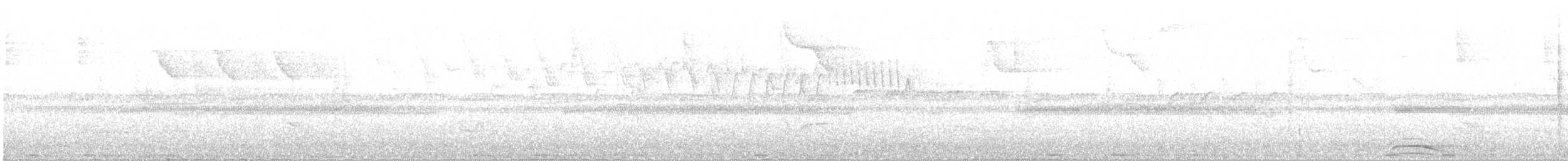 Collared Forest-Falcon - ML636938163