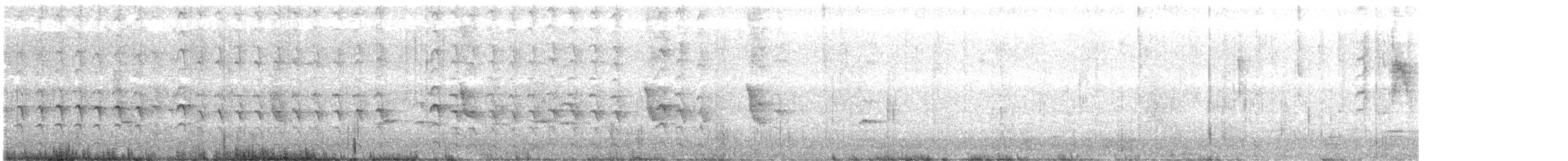 North Island Saddleback - ML636938849
