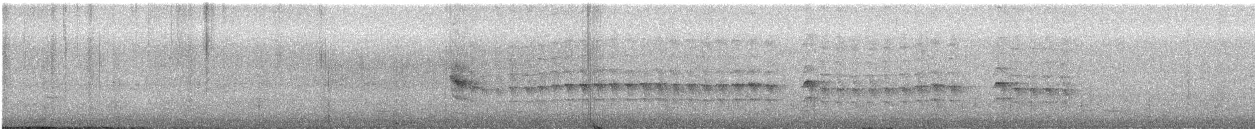 North Island Saddleback - ML636938963