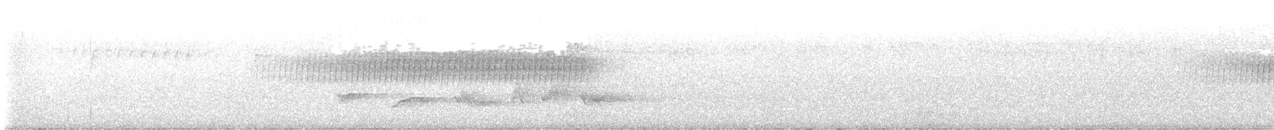 フタスジアメリカムシクイ - ML636940068