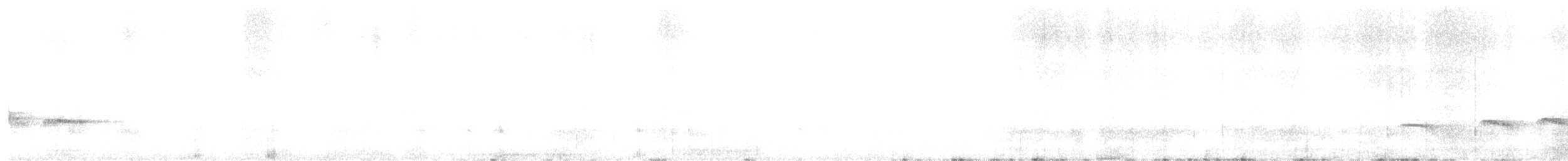 Колумбийская питтовая муравьеловка - ML636942009