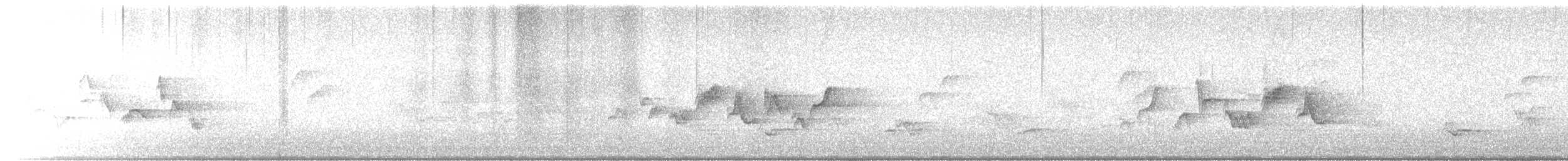 Western Warbling Vireo - ML636943562