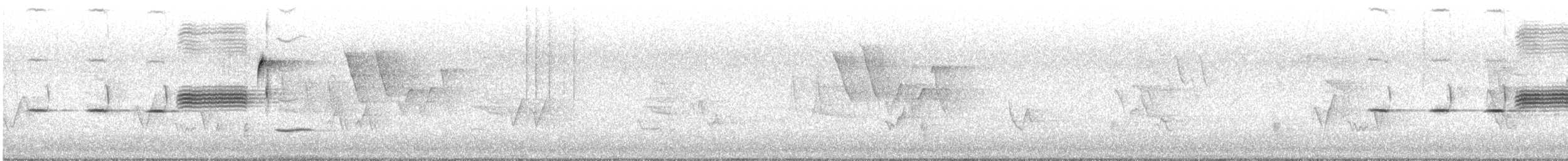 Song Sparrow (melodia/atlantica) - ML636944617