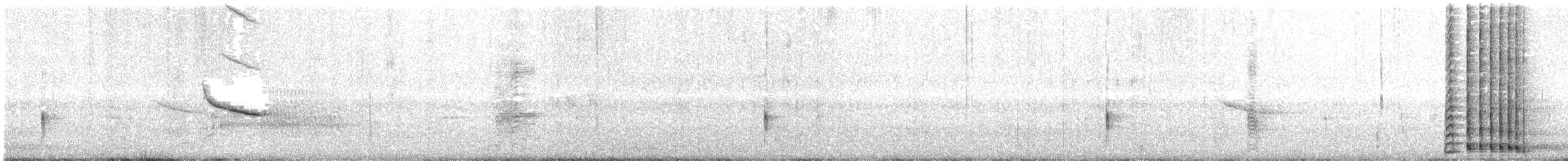 Sandhill Crane - ML636945119