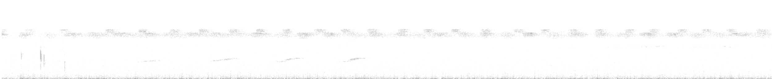 Common Scale-backed Antbird - ML636947337