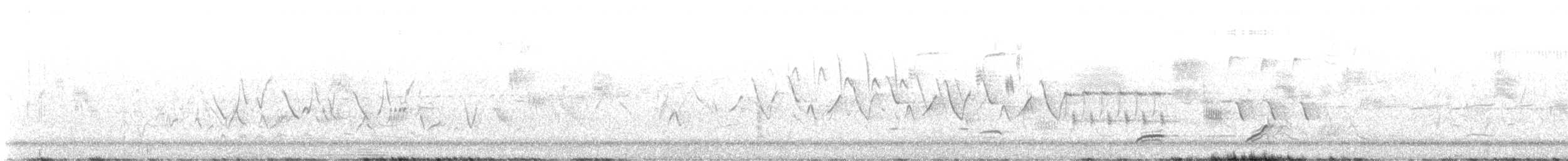 křepel virginský - ML636947680