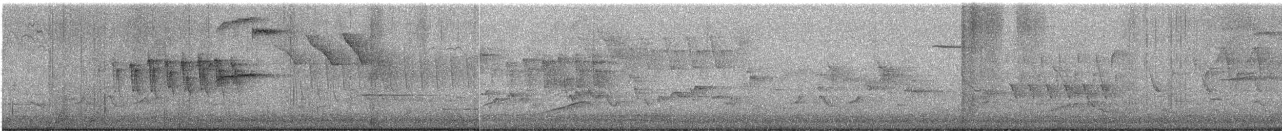 Wilson's Warbler - ML636947708