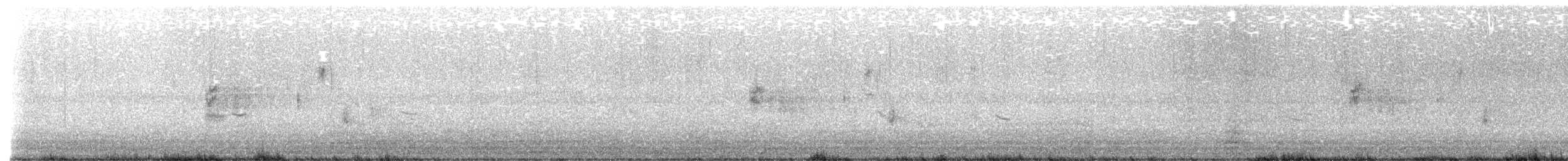 Nelson's Sparrow - ML636948324
