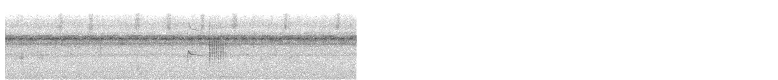 Bearded Tachuri - ML636950788