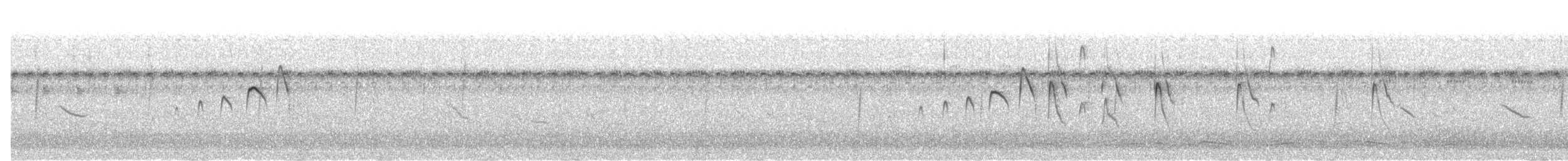 Bearded Tachuri - ML636950789