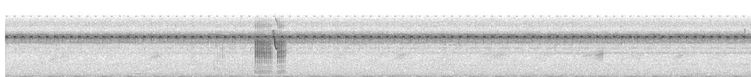 Bearded Tachuri - ML636950790