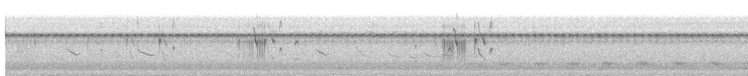 Bearded Tachuri - ML636950791
