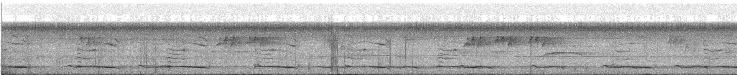 Большой бородастик - ML636950976