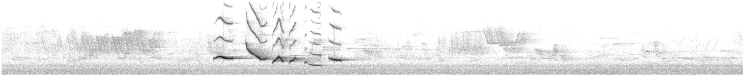 פזאי צפוני - ML636952445