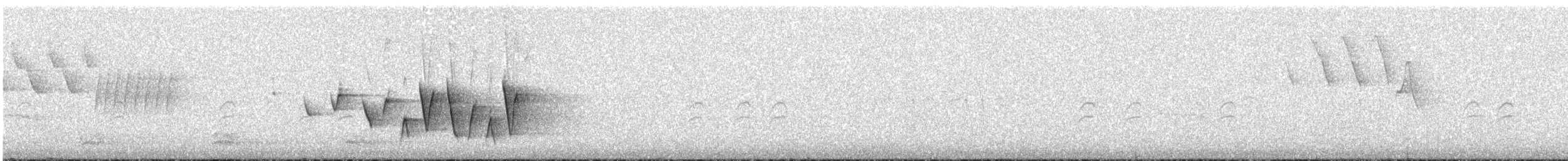 Connecticut Warbler - ML636952874