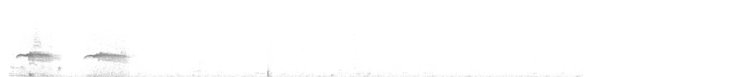 Large-tailed Antshrike - ML636957591