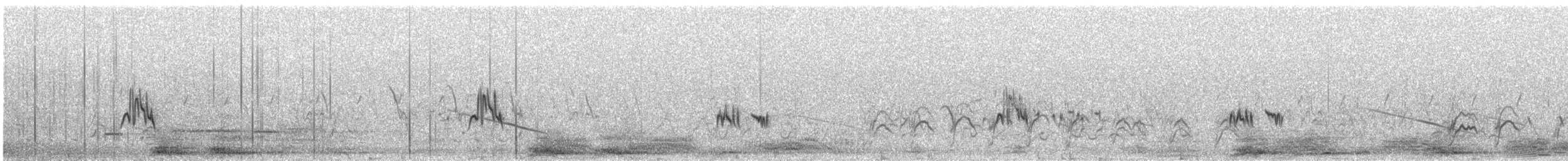 Nicholson's Pipit - ML636959947