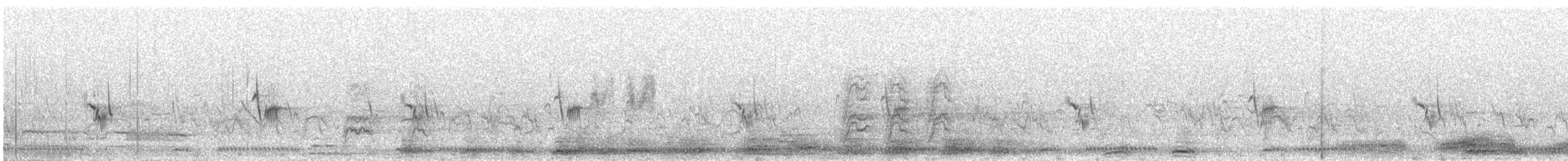 Nicholson's Pipit - ML636959964