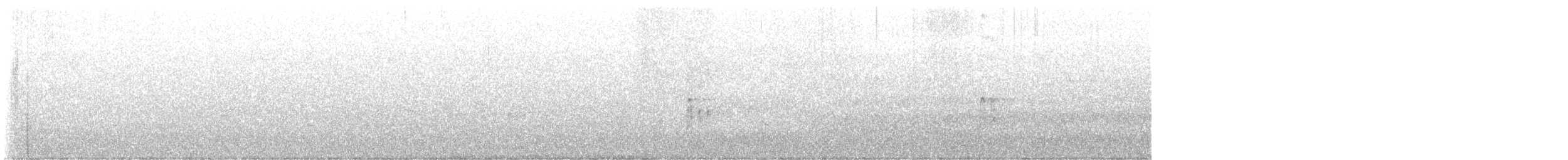 White-headed Woodpecker - ML636960547