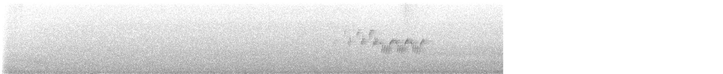 MacGillivray's Warbler - ML636961038