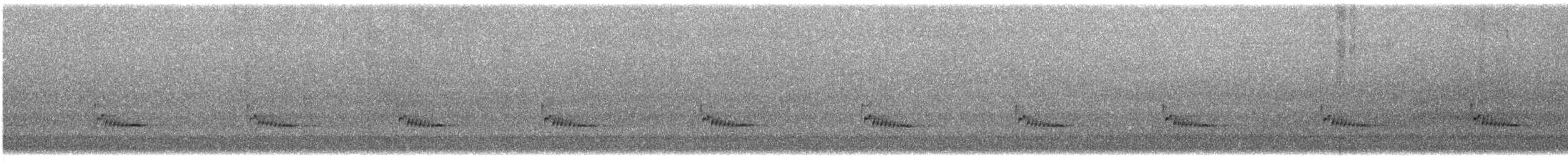 Carolina Wren - ML636962639