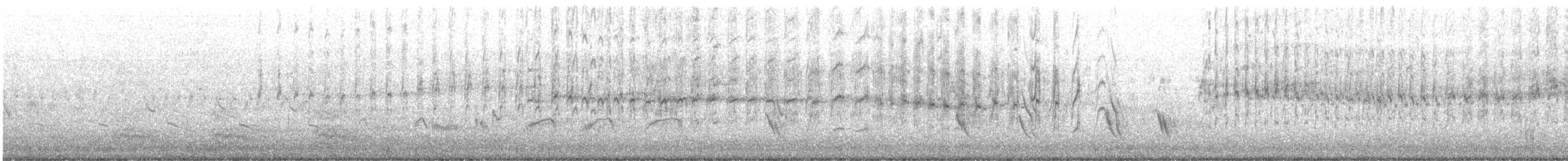 White-throated Swift - ML636963261