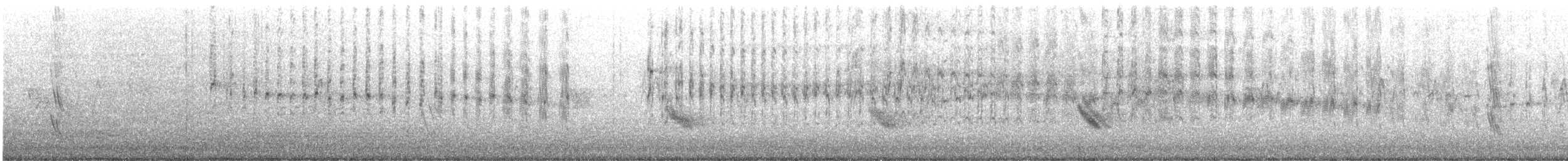 White-throated Swift - ML636963262