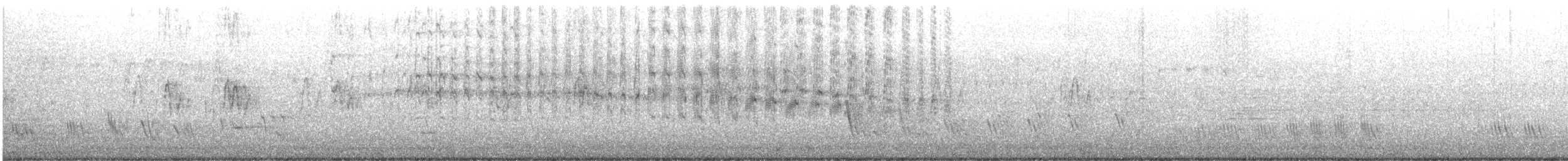 White-throated Swift - ML636963263