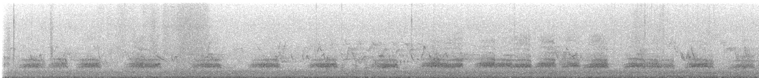 Stockente - ML636963598