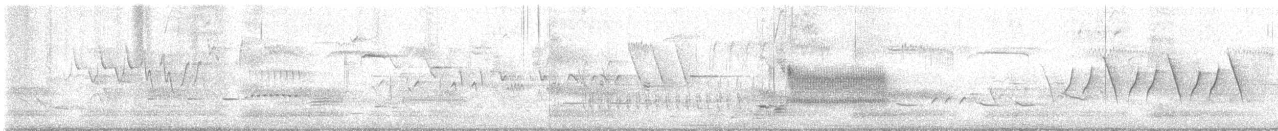 null - ML636964046