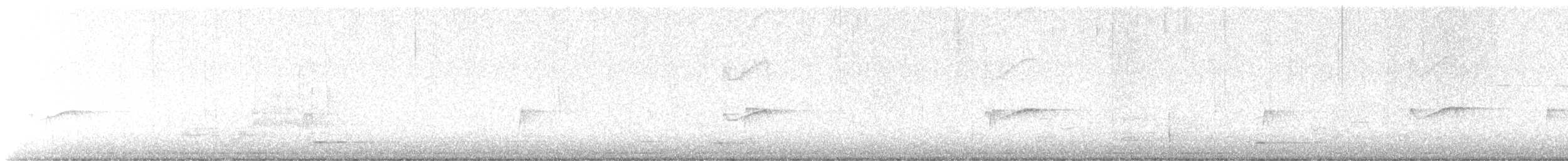キバラメジロハエトリ - ML636965508