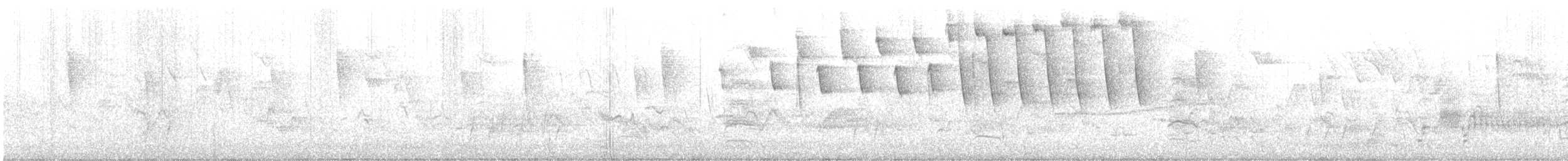 Tennessee Warbler - ML636968447