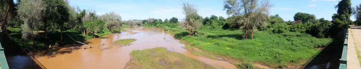null - ML636968648