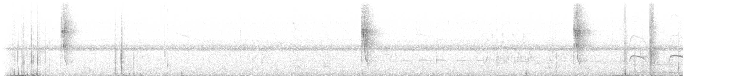Slender Antbird - ML636972206