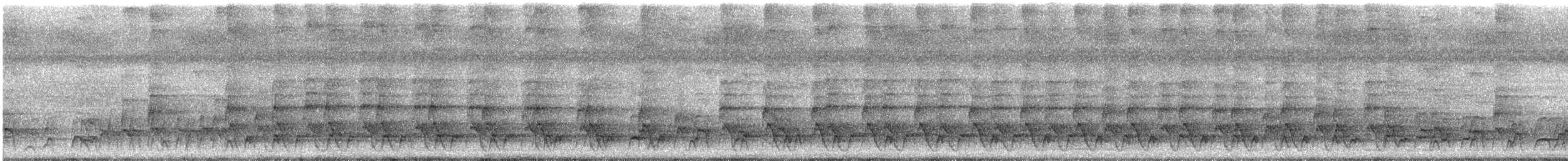 White-fronted Nunbird - ML636974129