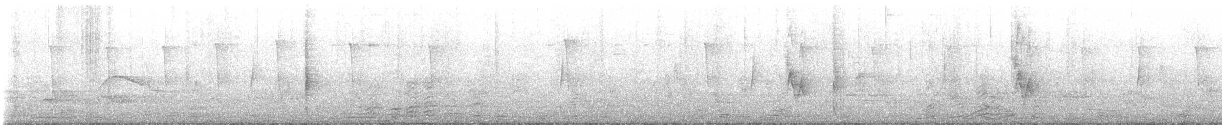 Least Flycatcher - ML636975955