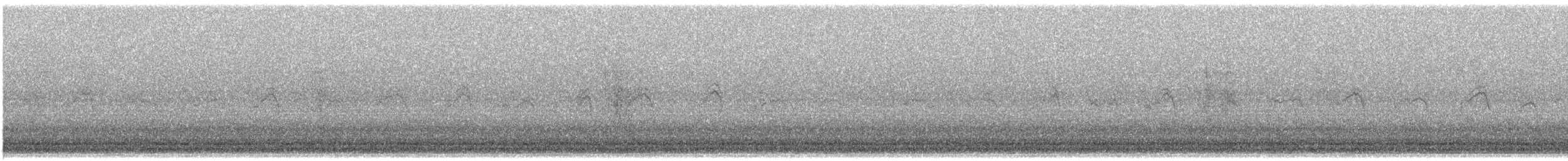 Качка sp. - ML636978206