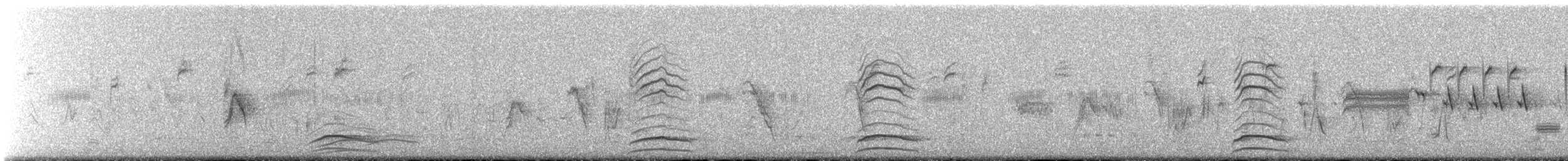 Gambel's Quail - ML636979695