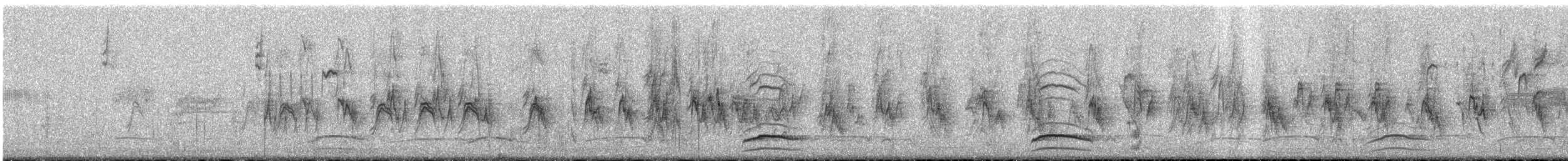 Оронгийн бор шувуу - ML636979709