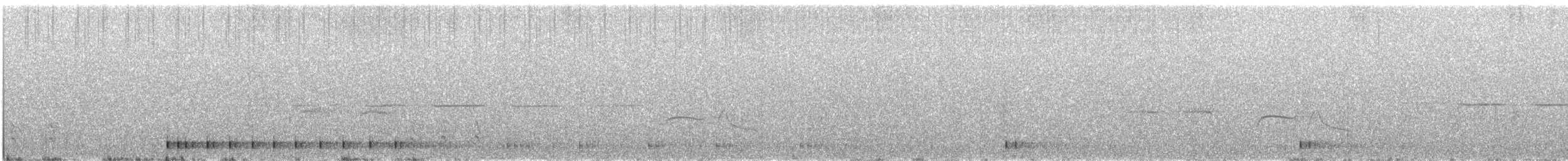 Sphyrapicus sp. - ML636979784